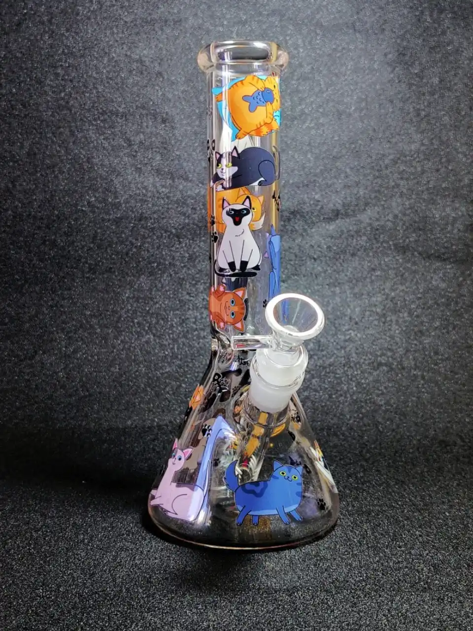 10-Inch Cat Lover Beaker Bong in Clear Borosilicate Glass