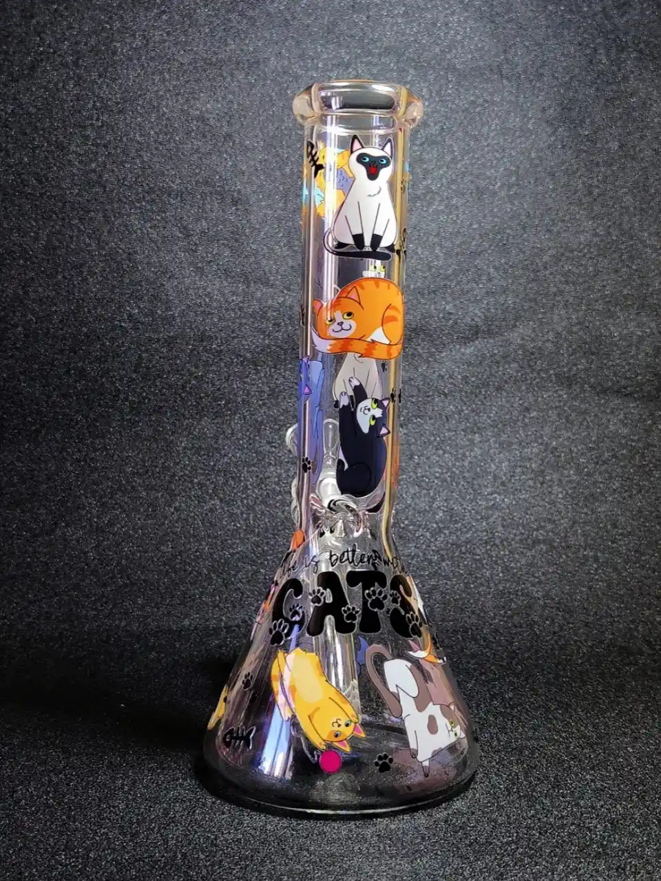 10-Inch Cat Lover Beaker Bong in Clear Borosilicate Glass - Image 2
