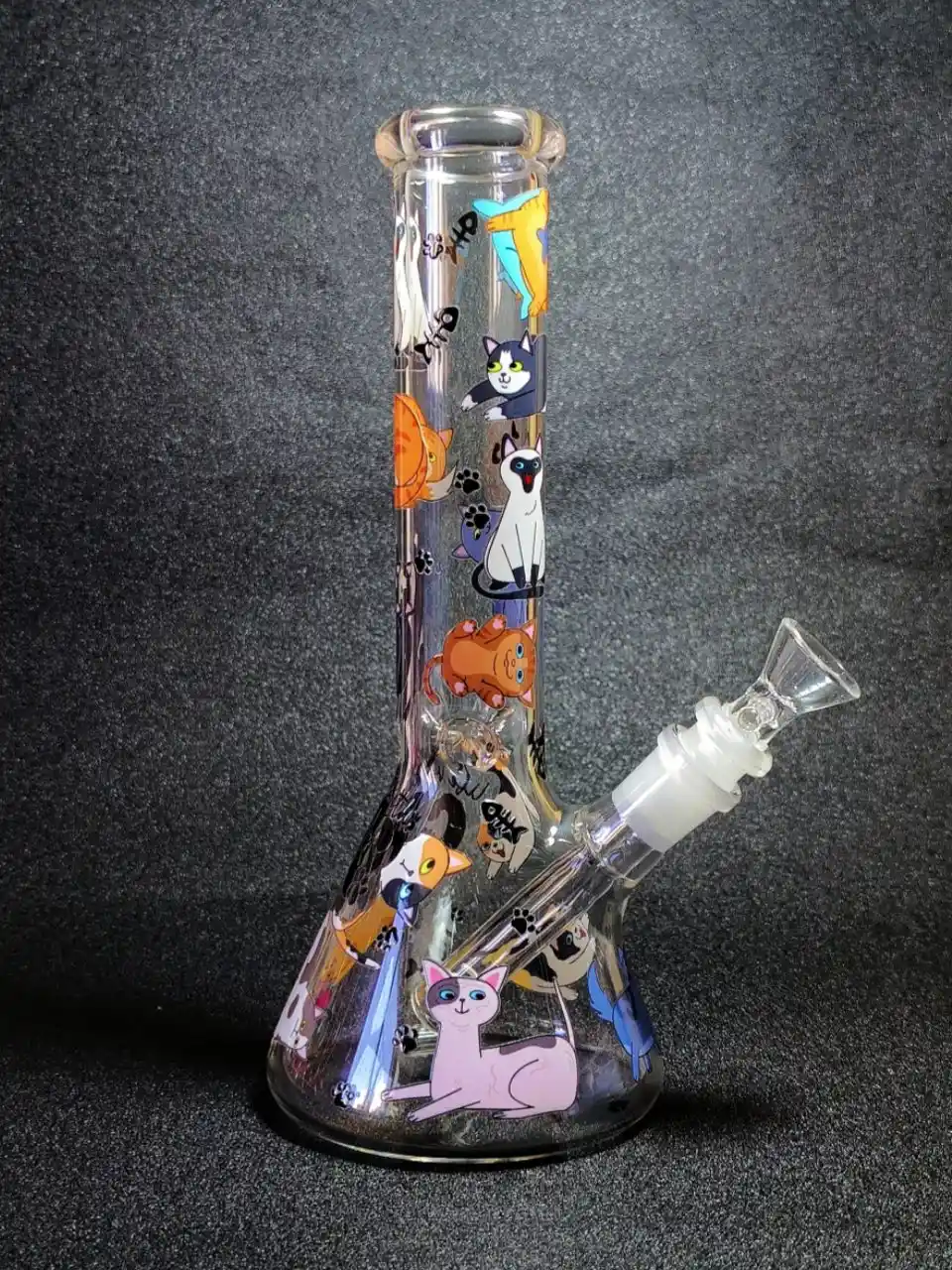 10-Inch Cat Lover Beaker Bong in Clear Borosilicate Glass - Image 3
