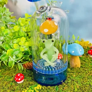 6 Inch Frog Mushroom Cloche Borosilicate Glass Bong