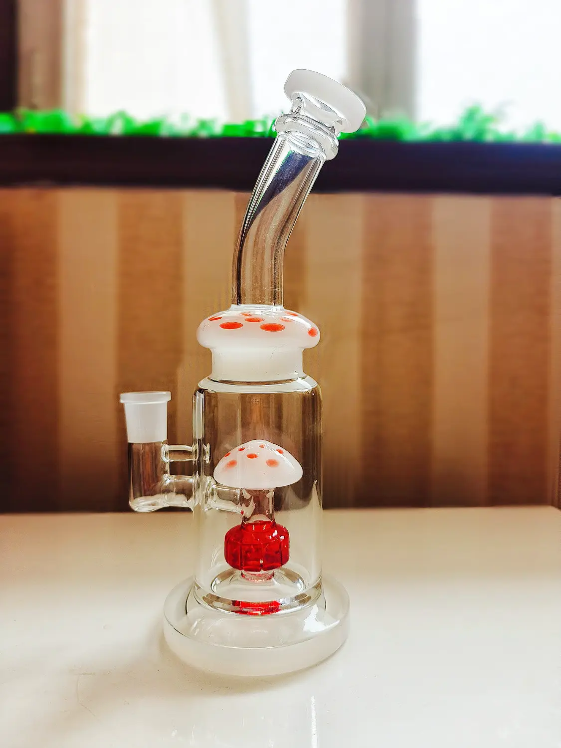 10-Inch Mushroom Borosilicate Glass Bong with Disc Perc - Image 2